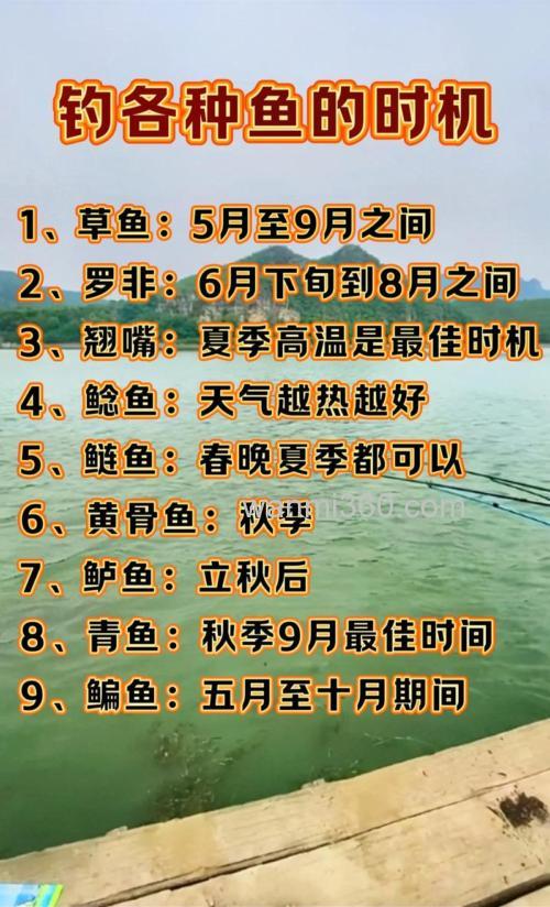 野钓鲤鱼的最佳时间