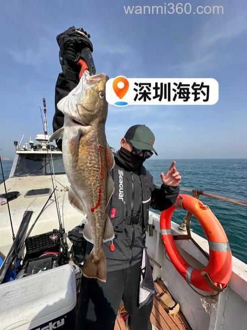 码头海钓乐趣多,掌握这些要点,钓获率大幅提升