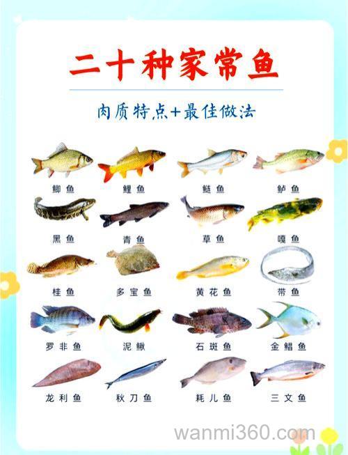 草鱼,罗非,土淩3种鱼各需要什么饵?
