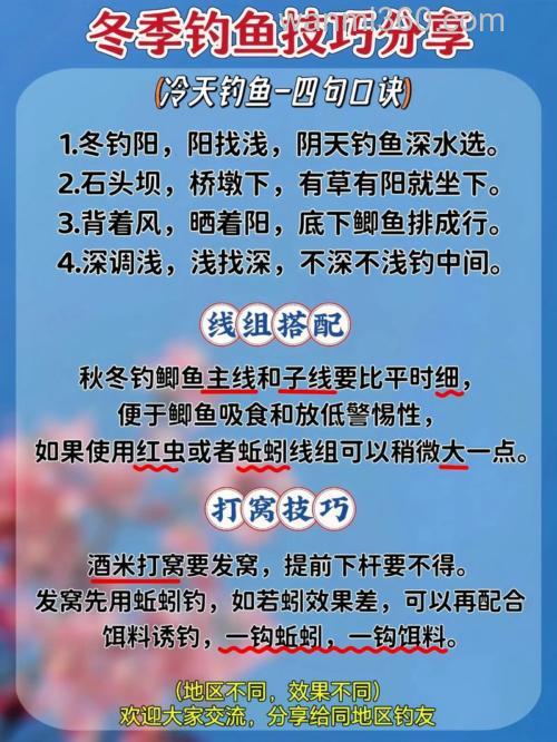 冬天钓鱼怎么钓?