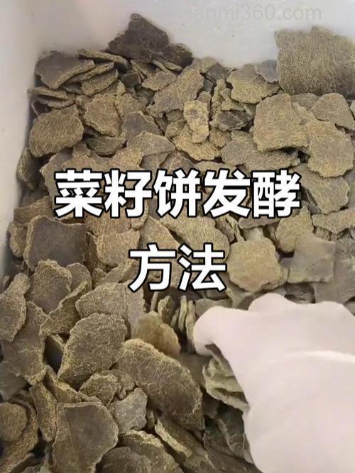 怎样用菜籽饼和糖.自制.鳙鱼钓饵1.