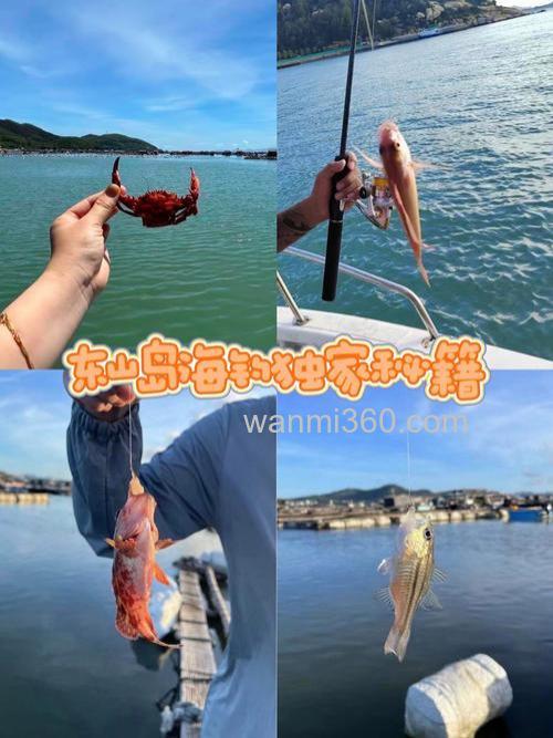 鱼排海钓的独特体验,掌握这些要点,新手老手都能收获满满