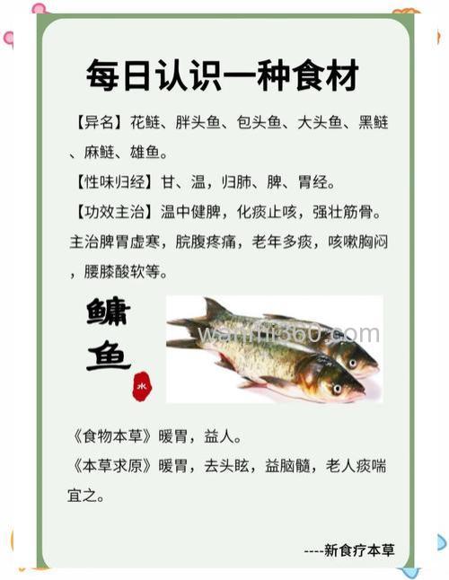 大鱼哥鲢鳙配方？