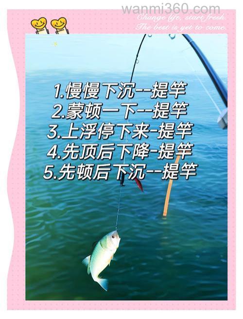 钓鱼提竿的口诀 高手总结教你钓鱼如何正确选位