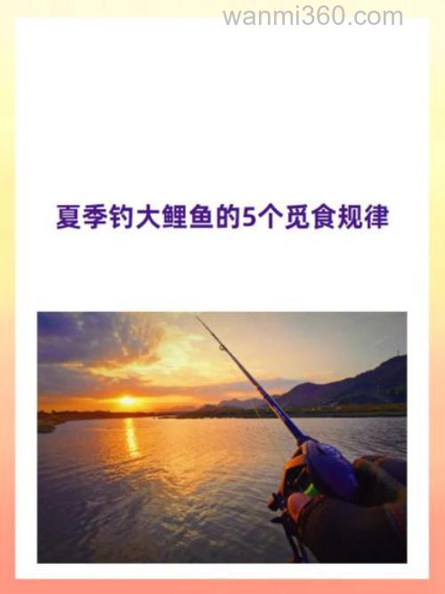 夏季钓大鲤鱼的5个觅食规律