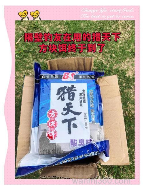 什么方块饵料比较好上大鱼?