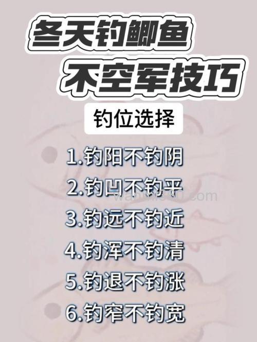 冬天夜里野外钓鲫鱼的乐趣与技巧,钓位选择有讲究