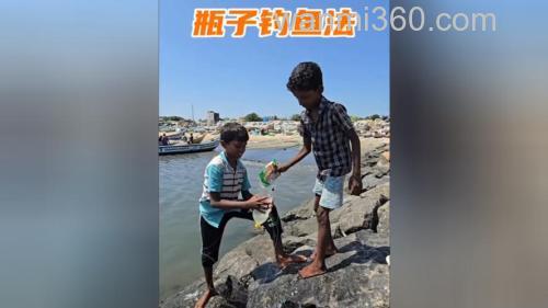 面粉钓鱼能钓淡水鱼吗?