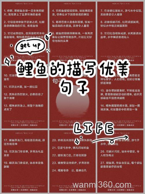 鲤鱼的描写优美段落