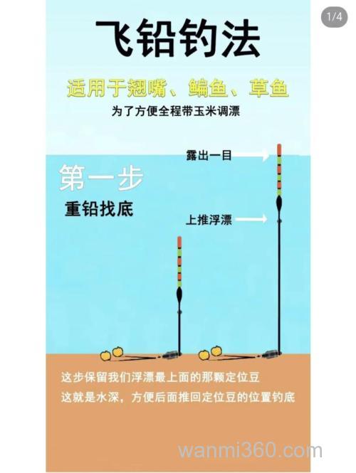挂玉米飞铅钓鲤鱼的正确方法?