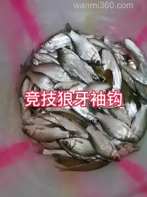 竞技狼牙7号能钓小鲫鱼吗？