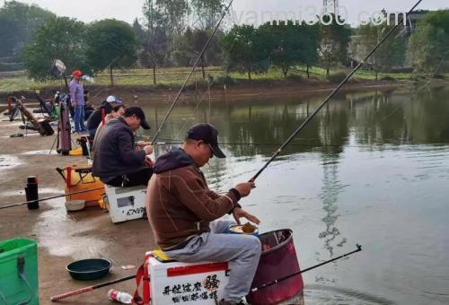 计时鱼塘钓鱼