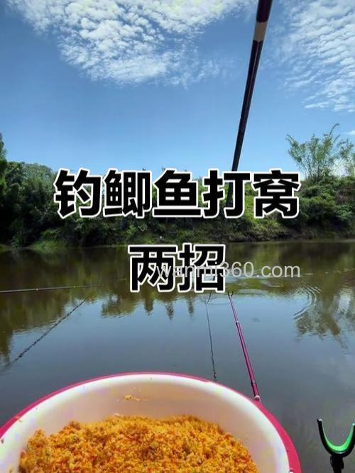 鲫鱼抽窝子一般抽多少下？
