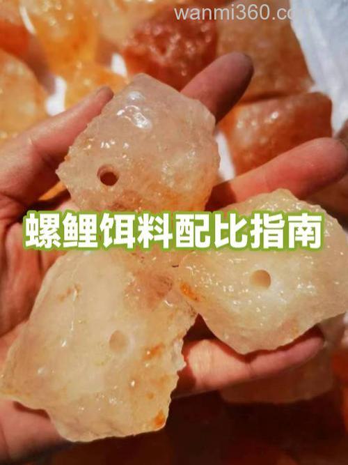 螺鲤丸九饵料配方？