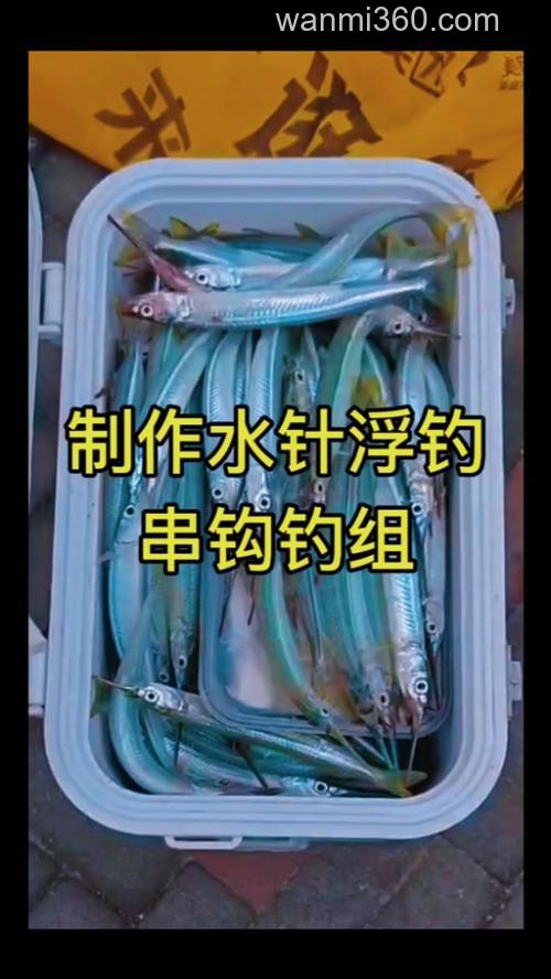 海钓针鱼技巧大揭秘:选对串钩钓组,轻松提升收获