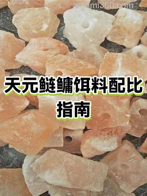 天元饵料水比多少合适？
