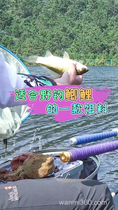 夏天钓鲤鱼用,老鬼的螺鲤系列好吗?(大河)?