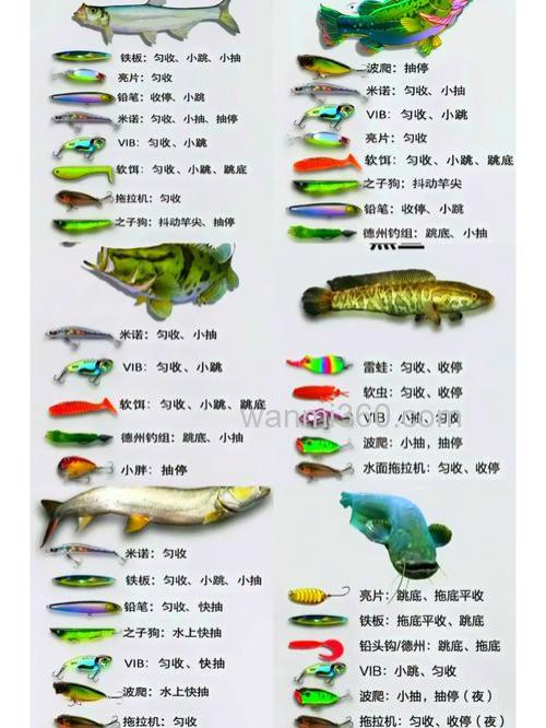 新三样饵料搭配比例?