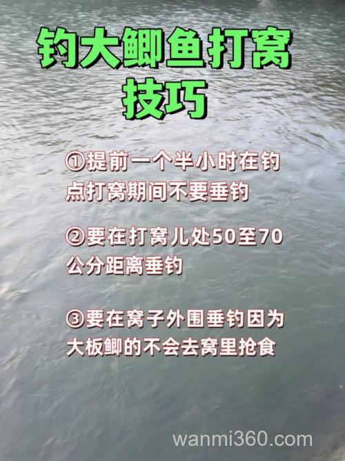 冬天野外钓鱼如何打窝?掌握这几点,收获事半功倍