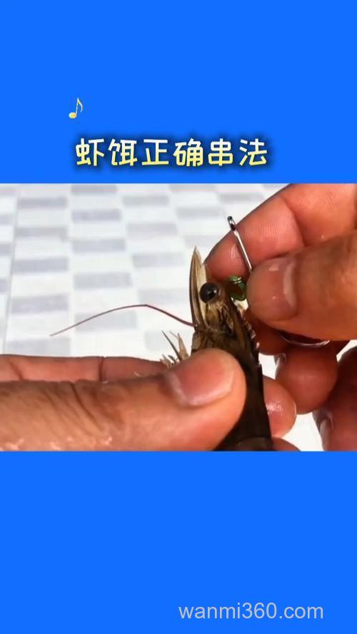 虾滑钓鲤鱼开饵搭配方法?