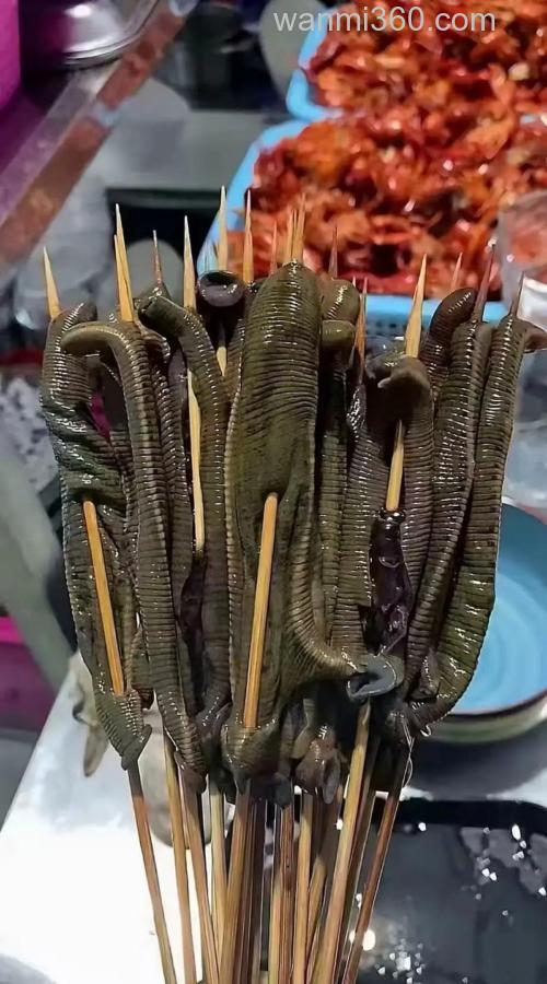 香虎酒可蘸蚯蚓吗?