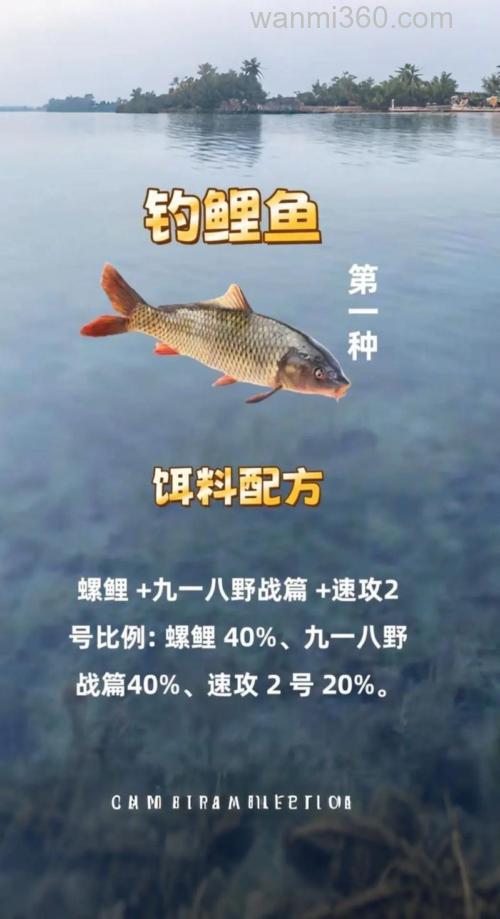 臭豆渣钓鲤鱼配方?