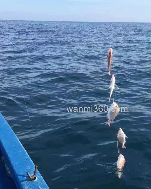 海钓船钓技巧,掌握海洋捕鱼的艺术