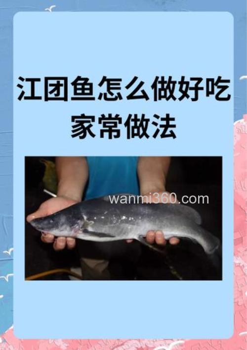 江团鱼料配方？