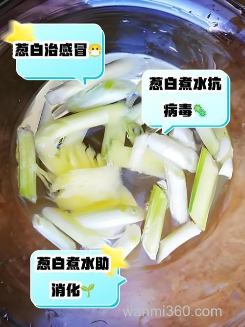 大葱韭菜发酵水如何制作?