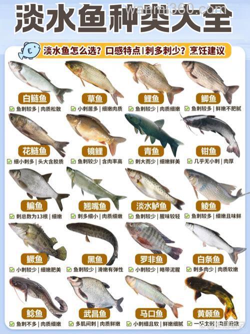 自从千岛湖形成以后，80多种鱼在湖中安了家，有常见的草鱼.鲤鱼.鲢鱼，也有珍贵的鳜鱼.鲑鱼等。 用了什么