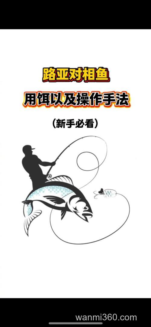 钓鱼鱼饵如何使用