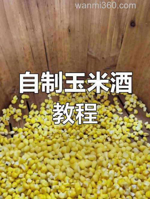 玉米粒酒糟做法？