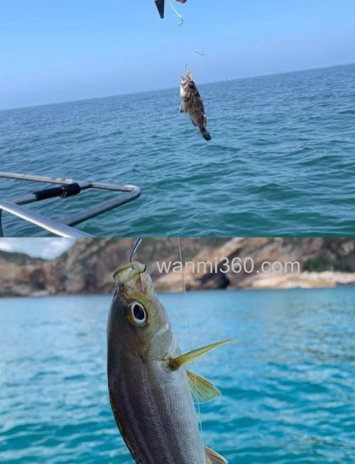 沙滩海钓金鲳鱼的技巧与选择钓点要点,你知道吗?