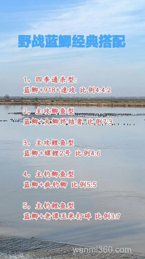 螺鲤九一八速攻怎么搭配？
