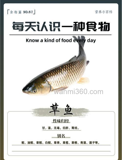 草鱼稚鱼吃什么