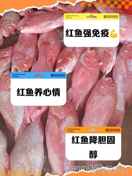 红花鱼爱吃什么饵料？