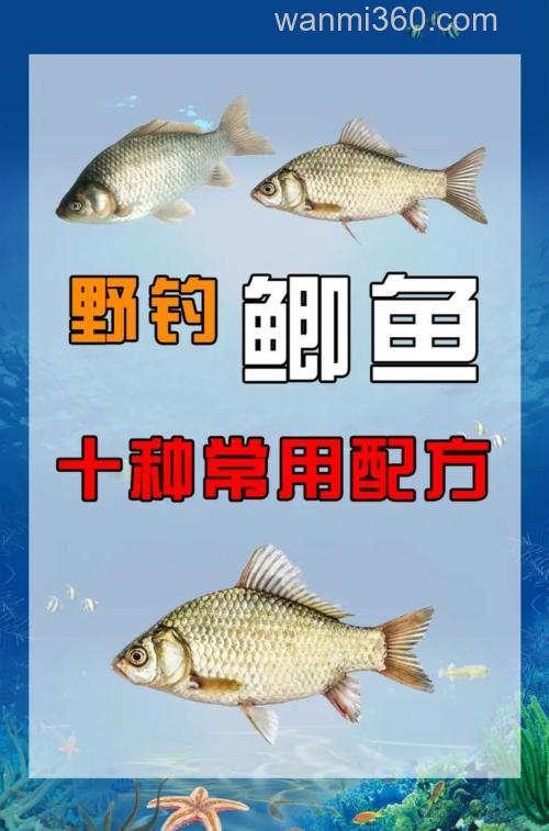 襄县野钓鲫鱼秘籍大公开!钓位、饵料选择全知道