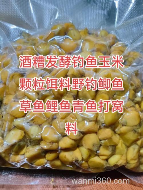 玉米渣.啤酒蜂蜜和在一起打窝钓鲤鱼好吗