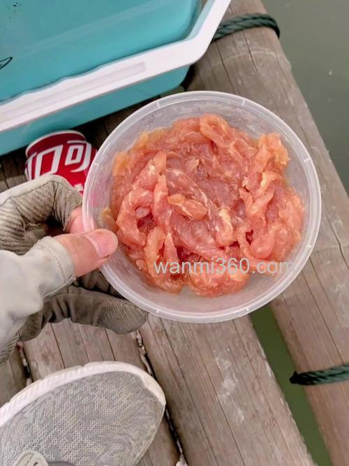生猪肉钓鱼好不好?