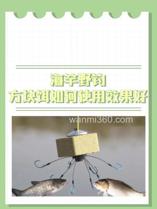 11月用海竿钓鱼用什么方块饵？