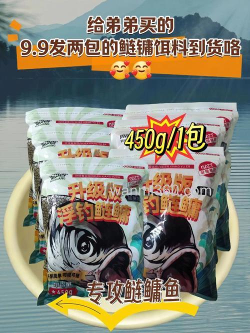 鲢鳙吃什么饵料