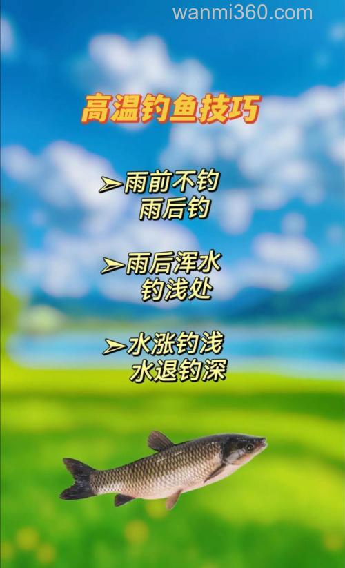 伏天野钓技巧,轻松应对高温挑战
