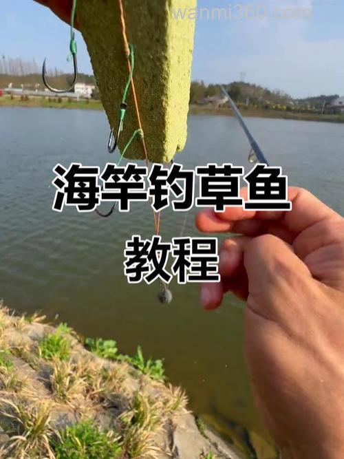海竿钓草鱼方法?