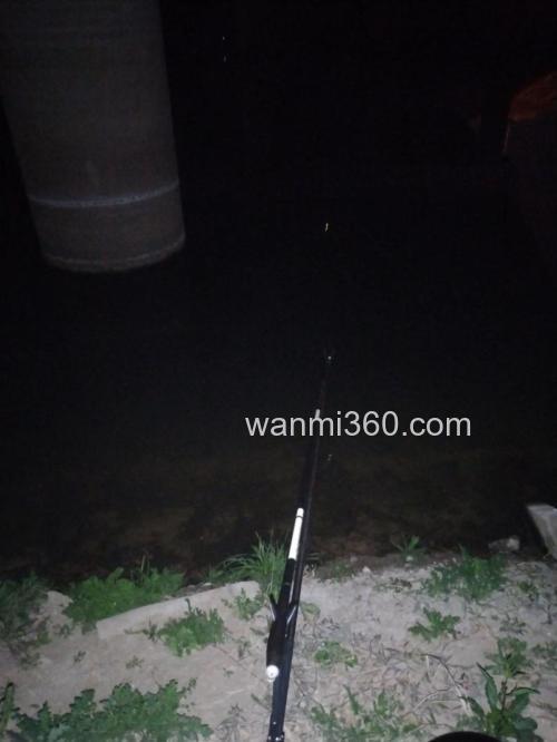 怎么样在夜晚钓鱼