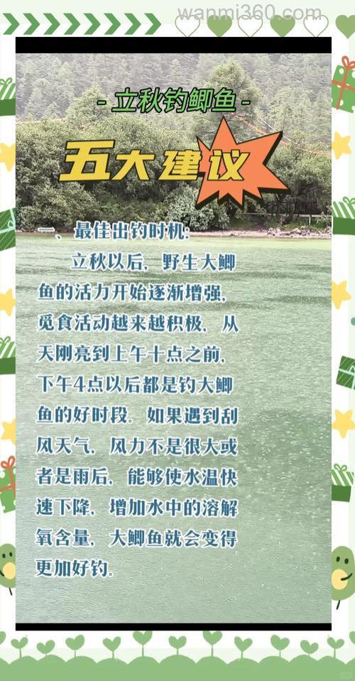 立秋后怎样钓鱼