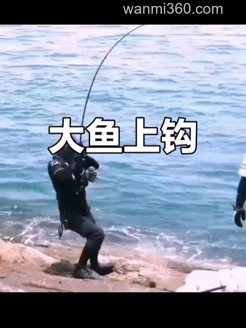 向高手高手高高手请教钓鲤鱼