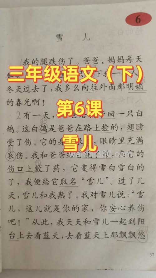 雪花片片课文？
