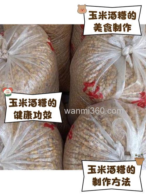 玉米酒糟使用方法?