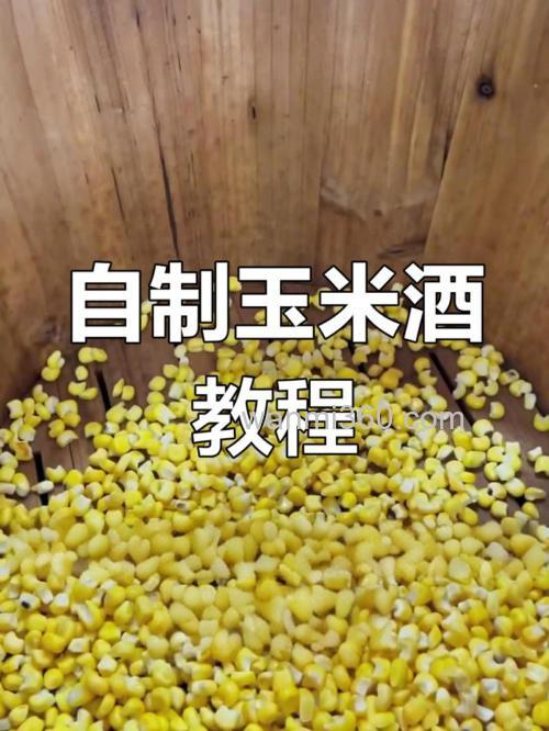 怎样用玉米做酒