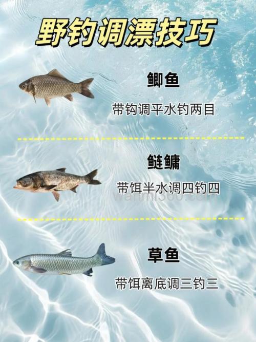 春天野钓技巧,野钓技巧全攻略
